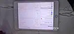 Ipad Mini 5