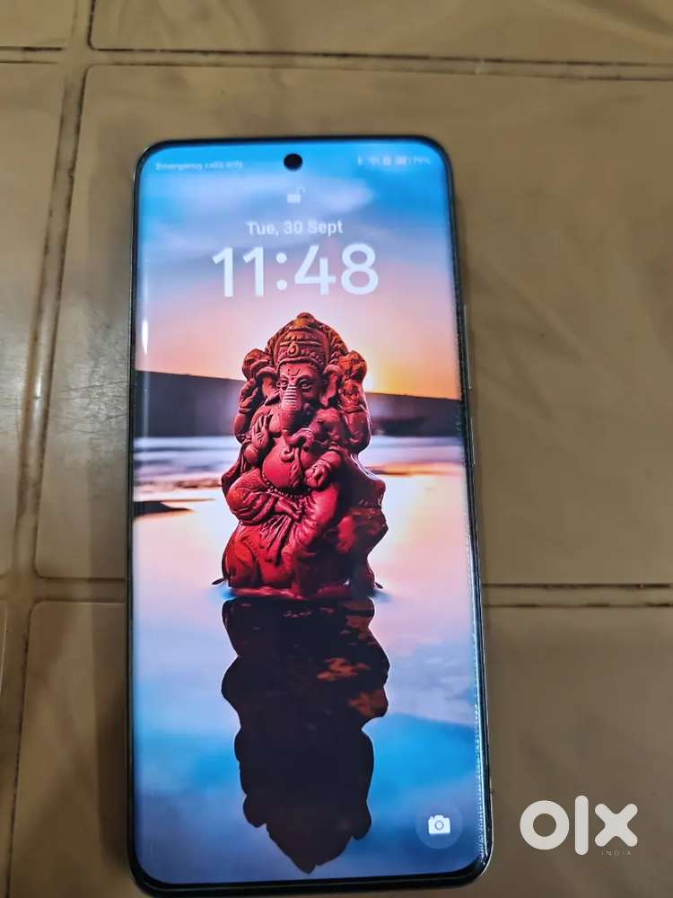 13 Pro plus 5 G (8 gb+256 gb)