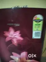 Fridge 2 month old