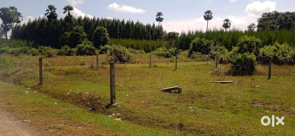 plot for sale (individual).