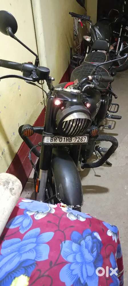 Argent hai