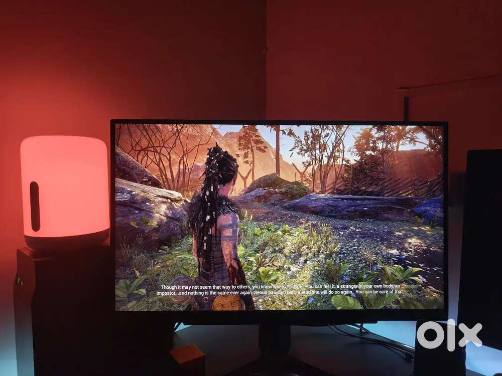 LG 27 inch 2K Monitor