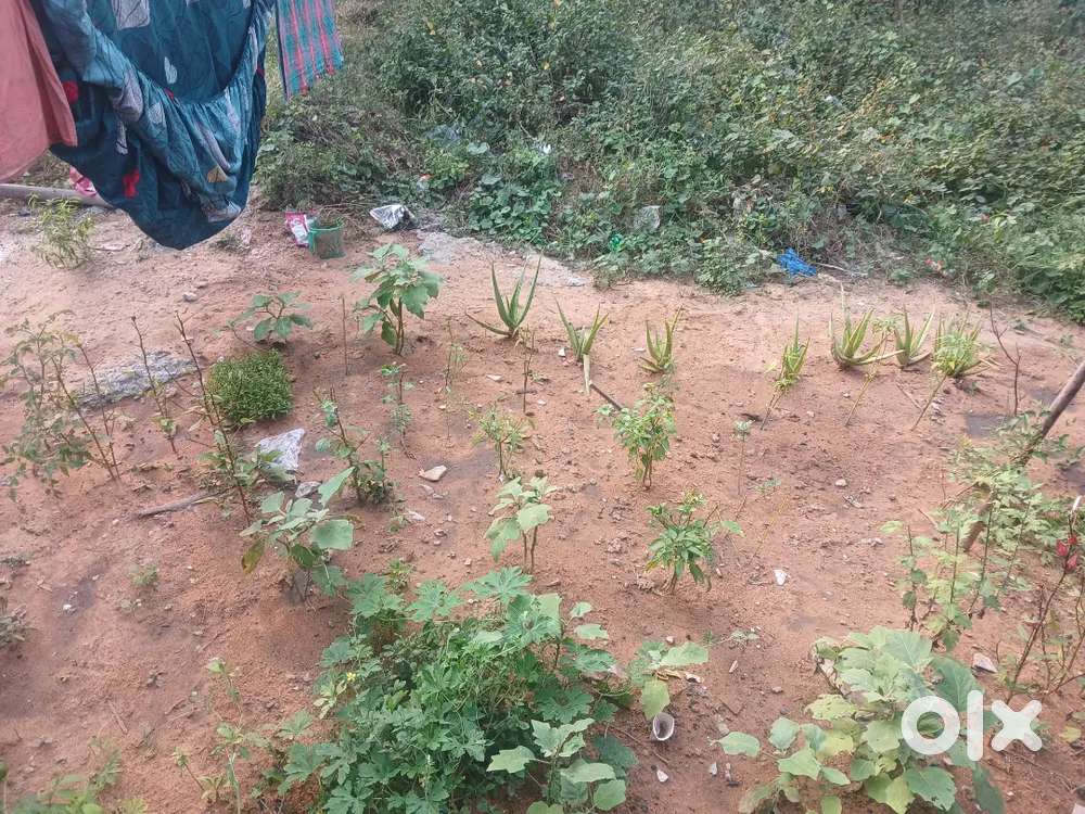 6 ankanams near baba Nagar Narayana backside