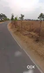 11acre land (total-7.15cr) gudibanda Road