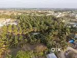 Farm Land For sale near Avinashi Road