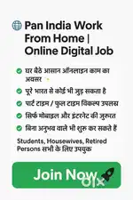 Pan India Work From Home  Online Digital Job