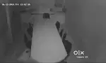 Basement For Rent