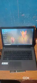 Hp laptop good condition
