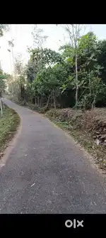 കേണിച്ചിറ-പുൽപള്ളി റൂട്ടിൽ 74 സെന്റ്  സ്ഥലം വില്പനക്ക്