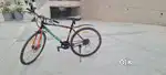 Age: 5 moths, Colour: blank and orange, slight green , Adult bicycle