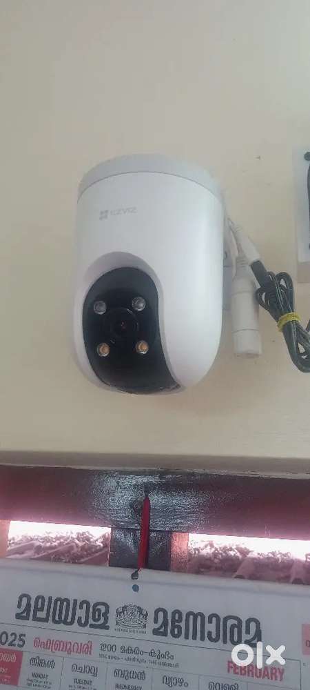 Electrical maintenance any companies