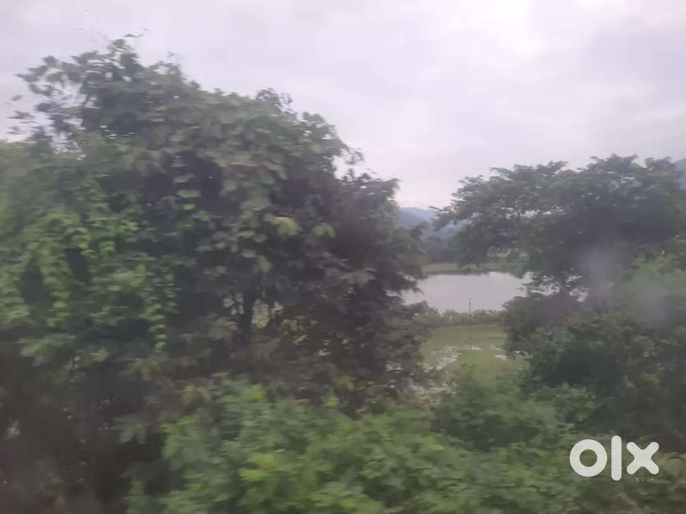 Urgent basis plot selling