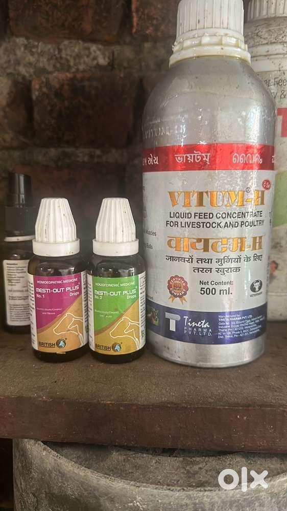 डेरी पर लड़का की नीड हे