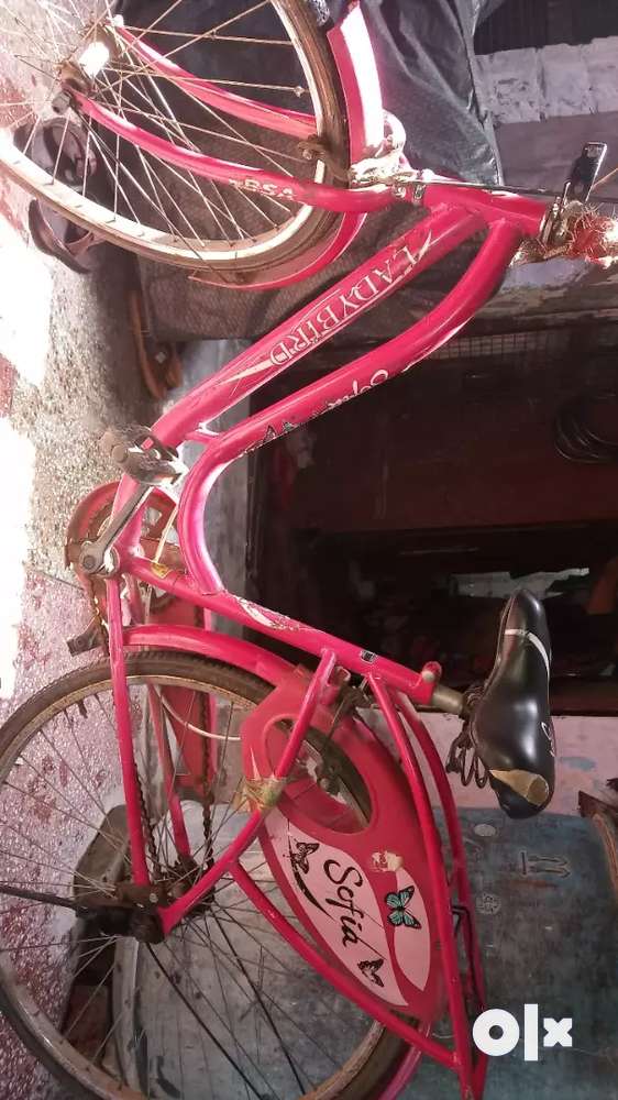Bicycle for 1500₹