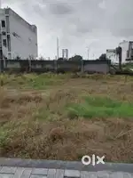 Shre green
