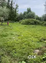 Residential Plot for Sale – Danimar, Eidgah (Within Srinagar Municipal