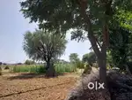 Land for sale highway near  148B