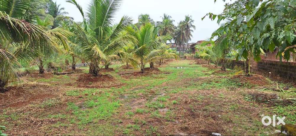 land for sale in kushal nagar, kanhangad,kasaragod