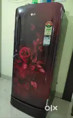 LG 185 L5 Star Inverter Direct-Cool Single Door Refrigerator