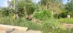 NH faceing business plot in pathirapally