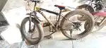 Appgrow Stark Fat Tyre Cycle