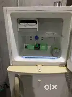Lg double door