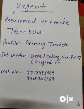 Urgent Required Primary Teacher's