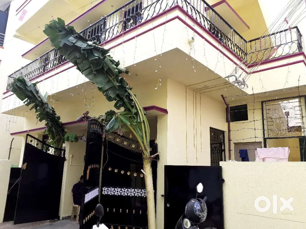 Rental house