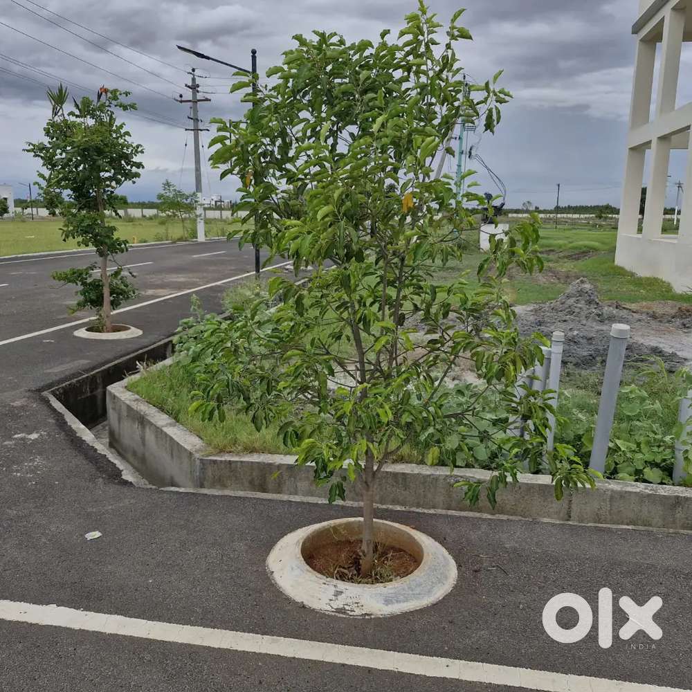 North east site for sale