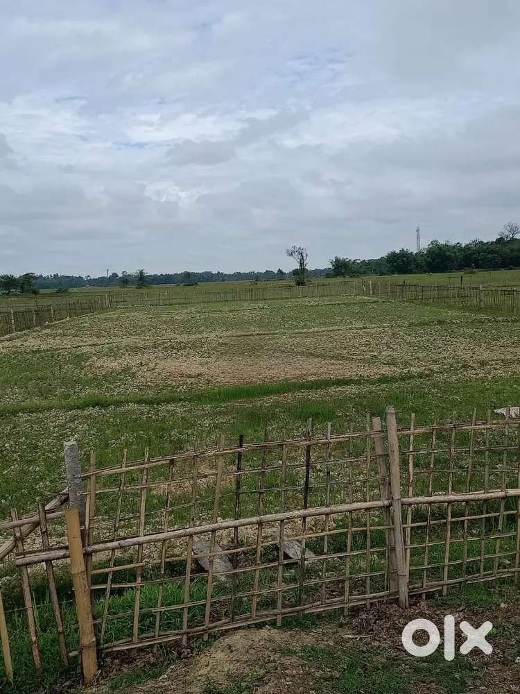 Land for sell per katha
