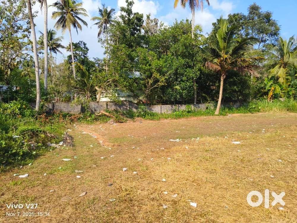 (IDS- 231298 ) Residential 11.75 Cent Land for Sale at kudappanakunnu