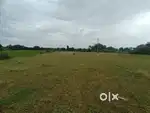 23 gunta of agriculture property