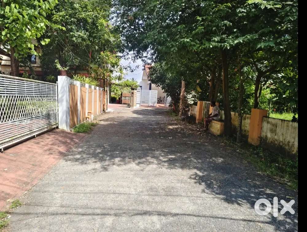 5CENT, 3.700CENT, 6CENT PLOTS FOR SALE IN POSH AREA ELAMAKKARA