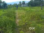 Marvelous view of house plots are available at Kanjikode NH facing