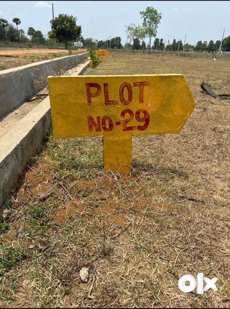 Future investment plots