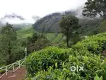 Residential|Commercial Land|Plots for sale in Suryanelli in Idukki