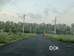 387 गज प्लॉट फॉर सेल इन सेक्टर-25, रोहतक (80 Foot road)