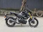 MT 15 2024