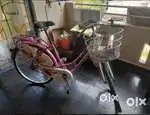 BSA Ladybird BSA Splash 26T 24 Inch Steel Bike, Barbie Pink, Rigid