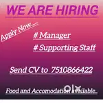 Urgent requirement in  Burger cafe.
