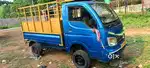 Tataace phulbani