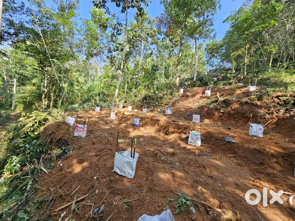 45 cent rubber property for sale(Negotiable)