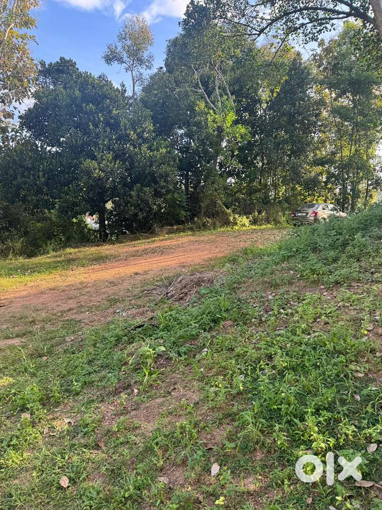 FOR SALE 44 CENT NEAR KOVALAM BEACH IN TRIVANDRUM