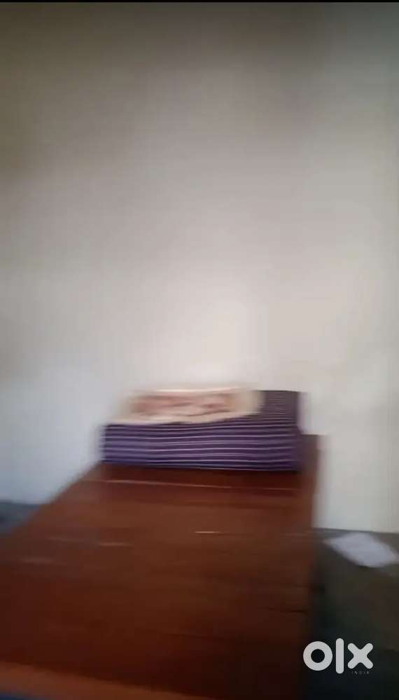 Looking for girl roommate I am also a girl