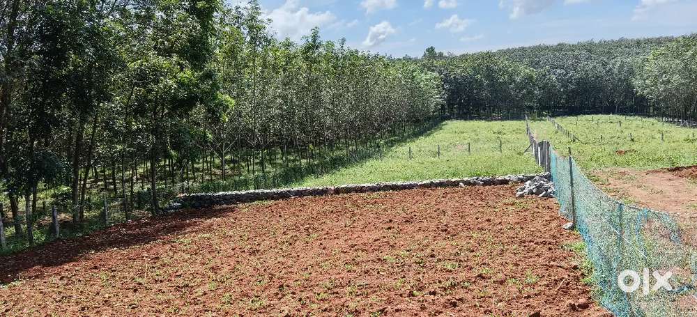 Houseing plot for sale