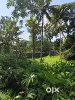 Plot For Sale in Umbernadu, Mavelikara