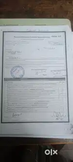 Life Insurance Advisor
