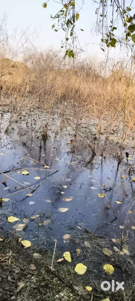 Please itrsted buyer call me