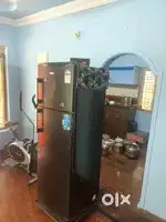 390 lts Fridge