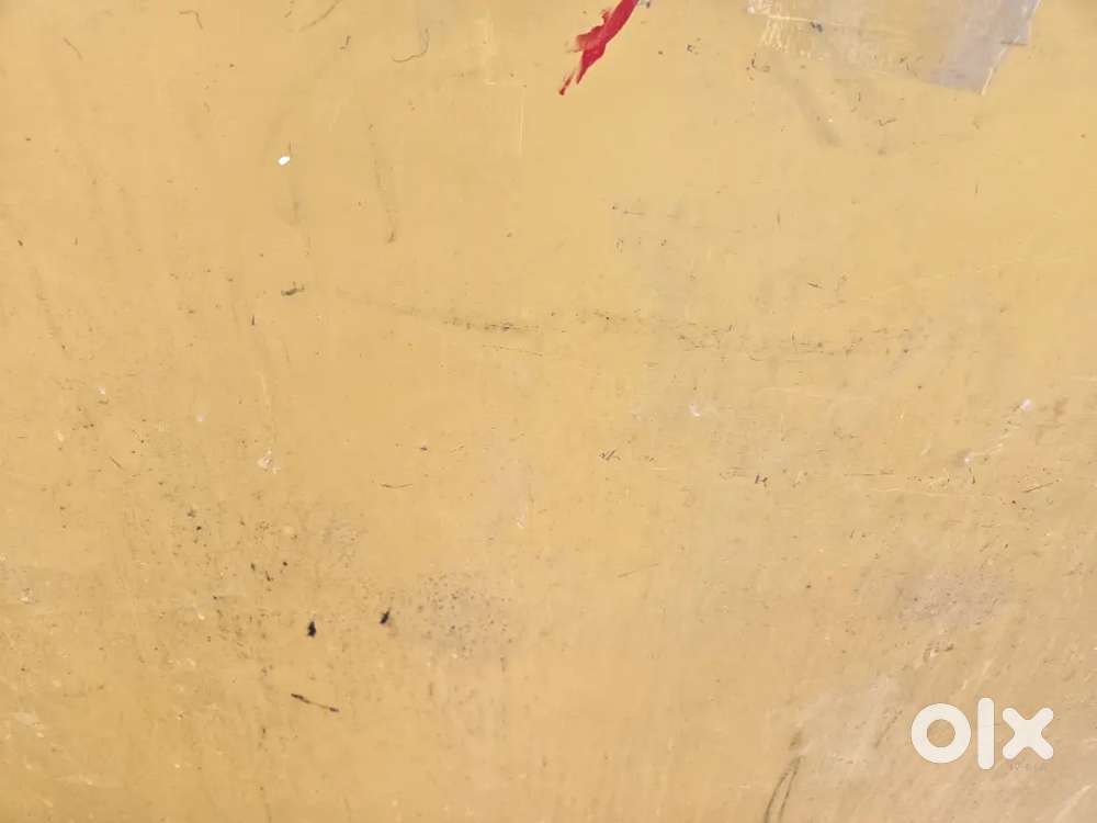 Badsha gujrati louge